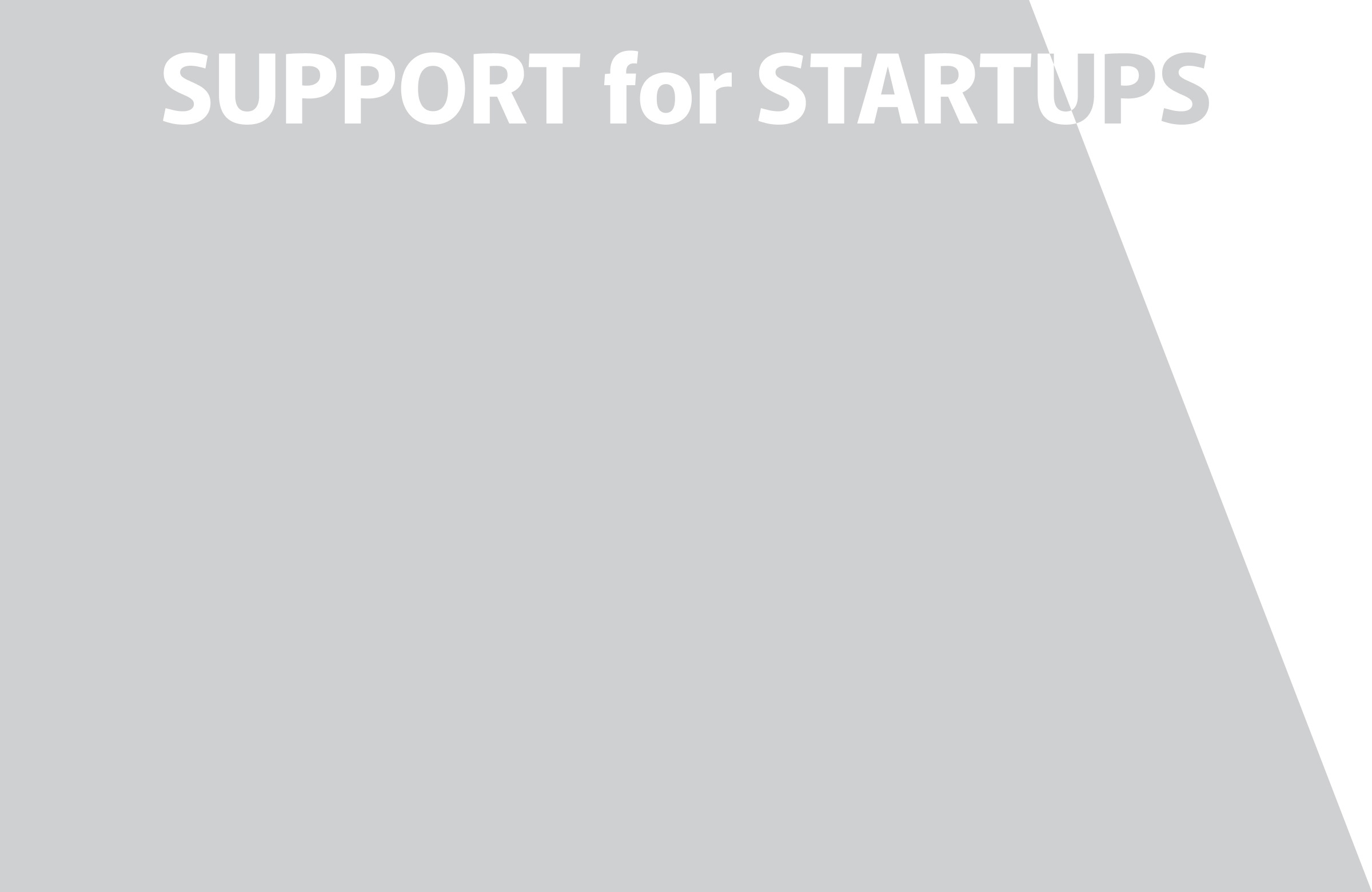 SUPPORT for STARTUPS